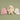 Pink knitted hat, cream stuffed bunny, and white socks on a green background