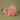 Pink Baby photography tutu and headband