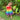 girls rainbow dress