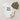 A baby clothing set laid flat on a light beige background, including a white short-sleeve bodysuit with a woodland animal graphic and the name 'Charlie' printed on the front, an olive green knit hat, and a cream sock with 'Lamington' branding and a hangtag.