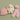 Pink knitted hat, cream bunny toy, and pink tights on a green background