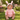 A baby wearing a pink bunny hooded romper sits smiling on green grass in a sunny garden.