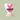 A white ceramic egg cup featuring a pink bunny silhouette and the name 'WILLOW' in black lettering, set against a solid sage green background.