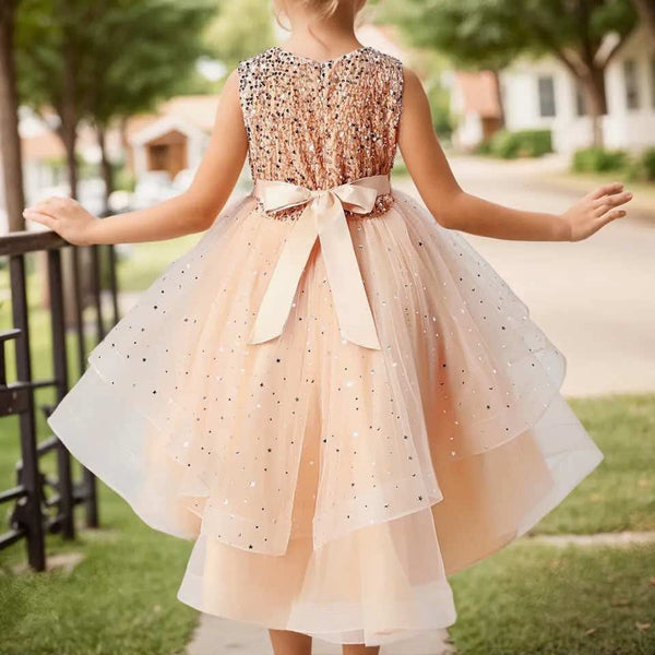 Sparkly flower girl dress